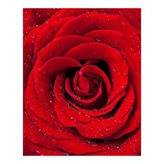 Алмазная мозаика Красная роза, картина стразами Color KIT 40x50 см.