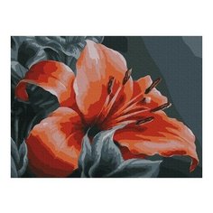 Картина по номерам Оранжевая лилия, 30x40 см. Molly