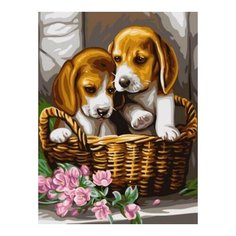 Картина по номерам Щенки в корзине, 30x40 см. Цветной