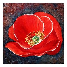 Алмазная мозаика Яркий мак, картина стразами Color KIT 25x25 см.