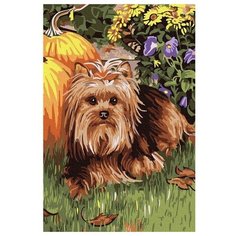 Картина по номерам Йорк, 20x30 см. Molly