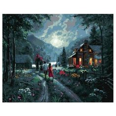 Картина по номерам Ночная прогулка, 40x50 см. PaintBoy