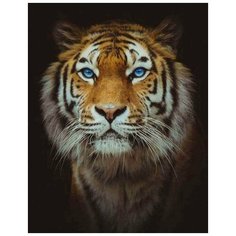 Алмазная мозаика Повелитель (На подрамнике), картина стразами Цветной 40x50 см.