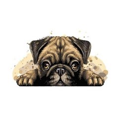 Картина по номерам Со мной не соскучишься!, 30x40 см. Фрея