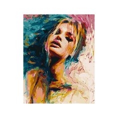 Картина по номерам Цветные чувства, 40x50 см. PaintBoy