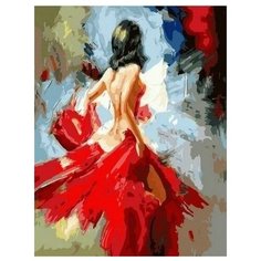 Картина по номерам Танец для души, 40x50 см. PaintBoy