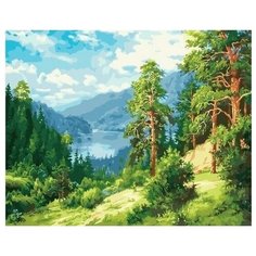 Картина по номерам Лесной пейзаж, 40x50 см. PaintBoy