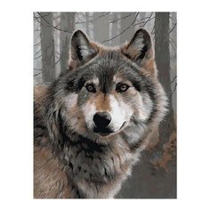 Картина по номерам Одинокий волк, 40x50 см. PaintBoy