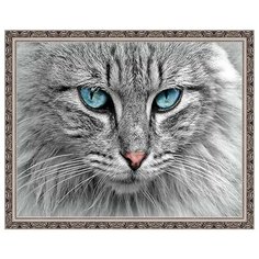 Алмазная мозаика Пушистый кот, картина стразами PaintBoy 40x50 см.