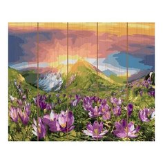 Картина по номерам Восход, 40x50 см. Molly