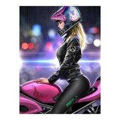 Картина по номерам Девушка на мотоцикле, 30x30 см. Molly