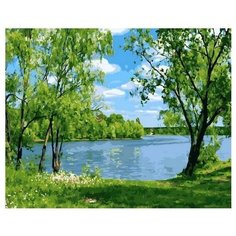 Картина по номерам Родные просторы, 40x50 см. PaintBoy