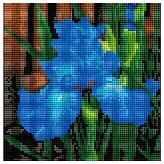 Алмазная мозаика Ирис, картина стразами PaintBoy 20x20 см.