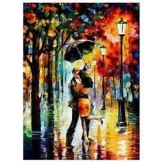 Картина по номерам Под дождём, 40x50 см. Цветной