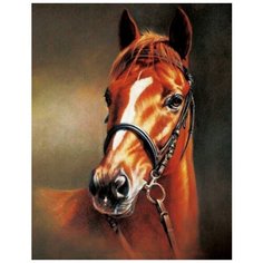 Алмазная мозаика Каштановая лошадь (На подрамнике), картина стразами Цветной 40x50 см.