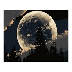 Картина по номерам Сказочная луна, 40x50 см. Цветной