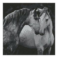 Картина по номерам Пара, 30x30 см. Molly