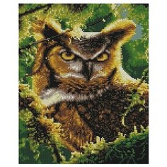 Алмазная мозаика Желтоглазая сова, картина стразами PaintBoy 30x40 см.