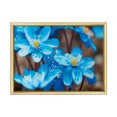 Алмазная мозаика Первоцветы, картина стразами Чарiвна Мить 30.3x42 см.