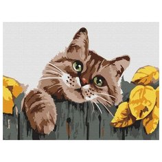 Картина по номерам Мяу, 15x20 см. Molly