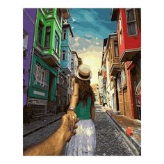 Картина по номерам Следуй за мной. Стамбул, 40x50 см. ВанГогВоМне