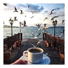 Алмазная мозаика Утро с чайками, картина стразами PaintBoy 40x50 см.