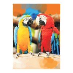 Алмазная мозаика Попугаи Ара, картина стразами Цветной 30x40 см.