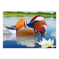 Алмазная мозаика Мандаринка, картина стразами Алмазное хобби 20x30 см.