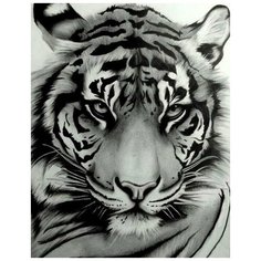 Алмазная мозаика Мудрый взгляд (На подрамнике), картина стразами Цветной 40x50 см.