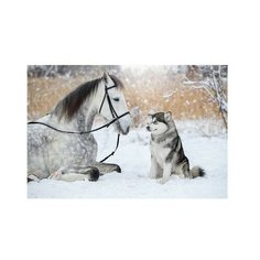 Картина по номерам Друзья навсегда, 30x40 см. Molly