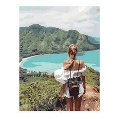 Картина по номерам Обзорная вершина, 40x50 см. PaintBoy