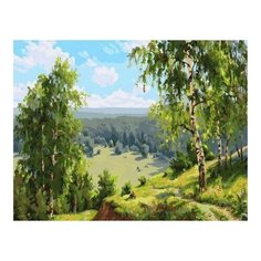 Картина по номерам Березовая долина (Прищепа Игорь), 40x50 см. PaintBoy