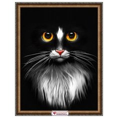 Алмазная мозаика Черный кот, картина стразами Алмазная живопись 30x40 см.