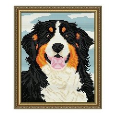 Алмазная мозаика Большой бернский зеннегхунд, картина стразами АРТ СОЛО 20x24.6 см. Art Solo