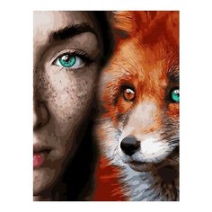 Картина по номерам Одна душа, 40x50 см. PaintBoy