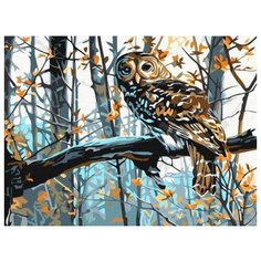 Картина по номерам Мудрая сова, 30x40 см. Цветной