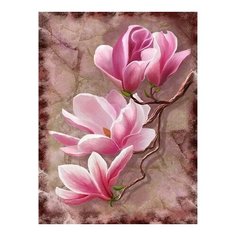 Картина по номерам Цветы магнолии, 15x20 см. Molly