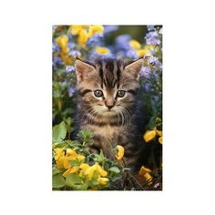 Картина по номерам Новые ароматы, 30x40 см. Molly