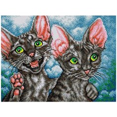 Алмазная мозаика Парочка, картина стразами Вышиваем бисером 30x40 см.