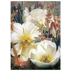 Алмазная мозаика Белоснежные кувшинки (На подрамнике), картина стразами Цветной 30x40 см.