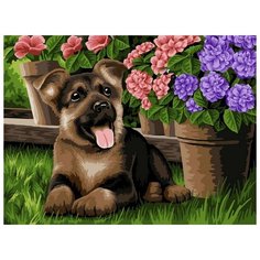 Картина по номерам В ожидании прогулки, 30x40 см. Фрея