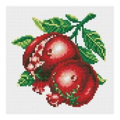 Алмазная мозаика Спелый гранат, картина стразами Белоснежка 20x20 см.