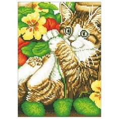 Алмазная мозаика Игривый котенок , картина стразами Цветной 30x40 см.