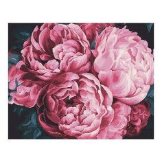 Картина по номерам Пышность бутонов, 40x50 см. PaintBoy
