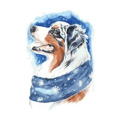 Картина по номерам Зимний пес, 30x40 см. Цветной