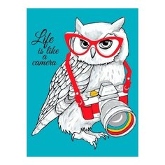 Картина по номерам Сова фотограф, 30x40 см. Цветной