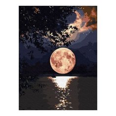 Картина по номерам Загадочное полнолуние, 30x40 см. Цветной