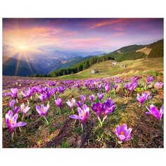 Алмазная мозаика Крокусы в Альпах, картина стразами Molly 40x50 см.