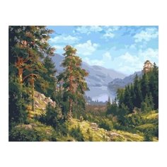 Картина по номерам Воспоминание о Сибири (Басов Сергей), 40x50 см. PaintBoy