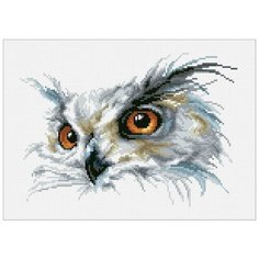 Алмазная мозаика Взгляд, картина стразами Паутинка 35x25 см.